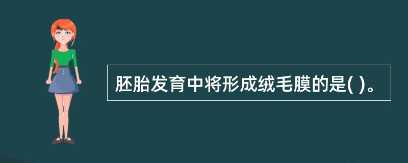 胚胎发育中将形成绒毛膜的是( )。