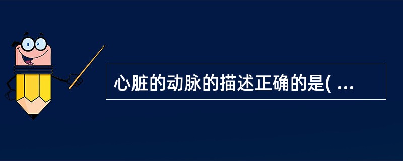 心脏的动脉的描述正确的是( )。A、左、右冠状动脉主干均行于冠状沟内B、左、右冠