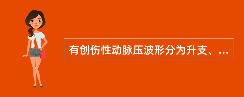 有创伤性动脉压波形分为升支、降支、重搏波，其中升支表示A、心室快速射血进入主动脉