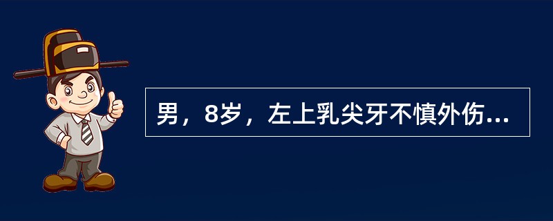 男，8岁，左上乳尖牙不慎外伤缺失，临床上常用的缺隙保持方法