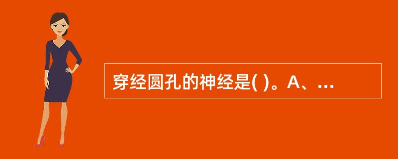 穿经圆孔的神经是( )。A、展神经B、滑车神经C、上颌神经D、下颌神经E、动眼神