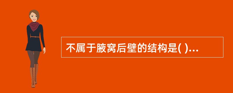 不属于腋窝后壁的结构是( )。A、小圆肌B、大圆肌C、背阔肌D、肩胛下肌E、肩胛