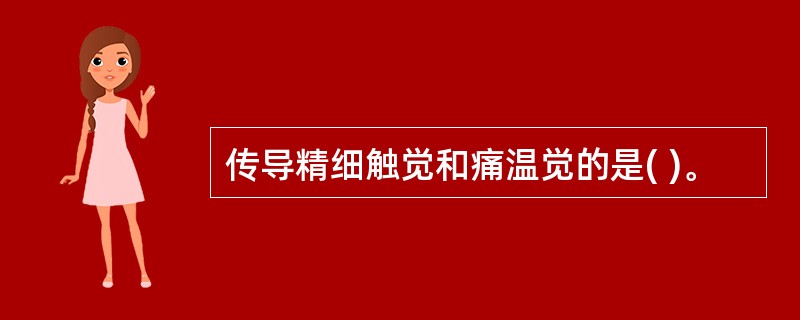 传导精细触觉和痛温觉的是( )。