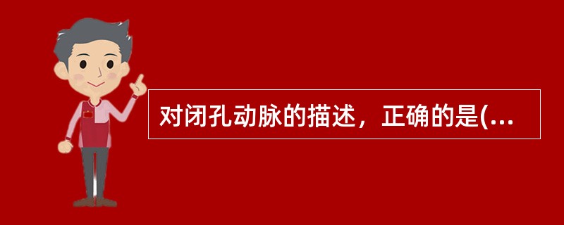 对闭孔动脉的描述，正确的是( )。A、为股动脉的分支B、与阴部神经伴行C、对股内