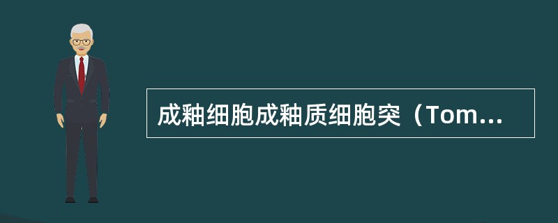 成釉细胞成釉质细胞突（Tomes突）尚未形成时分泌的是（）A、施雷格线B、釉柱