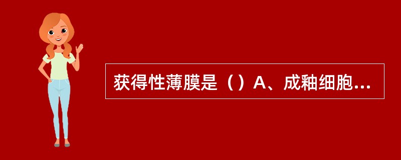 获得性薄膜是（）A、成釉细胞在釉质表面分泌的薄膜B、结合上皮在釉质表面分泌的薄