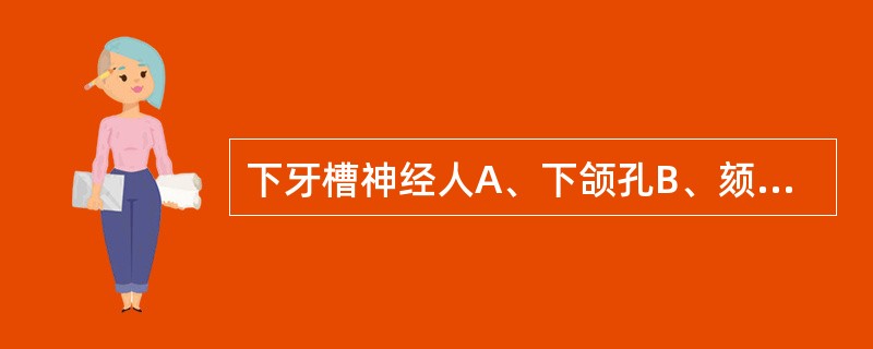 下牙槽神经人A、下颌孔B、颏孔C、卵圆孔D、圆孔E、眶下孔