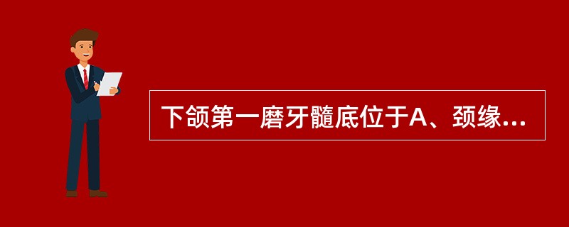 下颌第一磨牙髓底位于A、颈缘上2mmB、与颈缘平齐C、颈缘下2mmD、距根分歧处