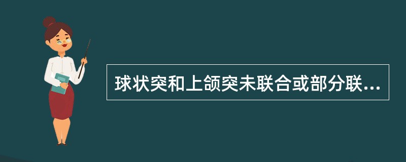 球状突和上颌突未联合或部分联合将形成（）A、唇裂B、颌裂C、腭裂D、横面裂E、