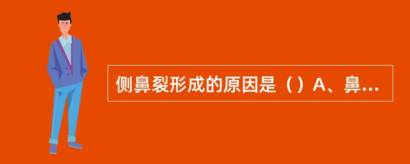 侧鼻裂形成的原因是（）A、鼻板与侧鼻突发育不全B、溴凹与中鼻突间发育不全C、上