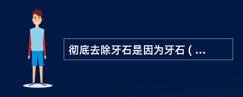 彻底去除牙石是因为牙石 ( )A、有机械刺激作用B、能吸附毒性物质C、是细菌滞留