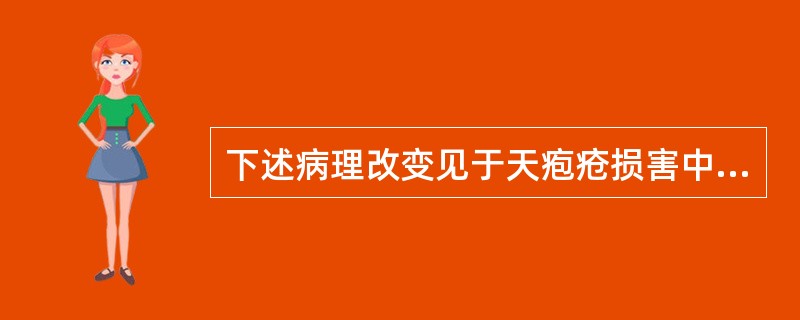 下述病理改变见于天疱疮损害中的是A、上皮增厚B、上皮萎缩C、棘层增生D、上皮内疱