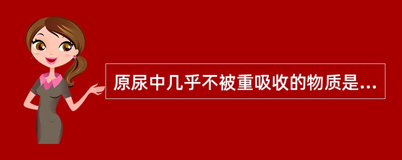 原尿中几乎不被重吸收的物质是（）