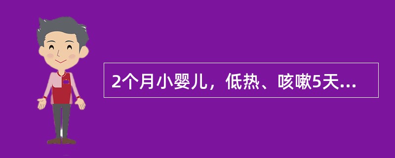 2个月小婴儿，低热、咳嗽5天，伴有结膜炎，双肺偶闻湿啰音，X线显示双肺间质性浸润