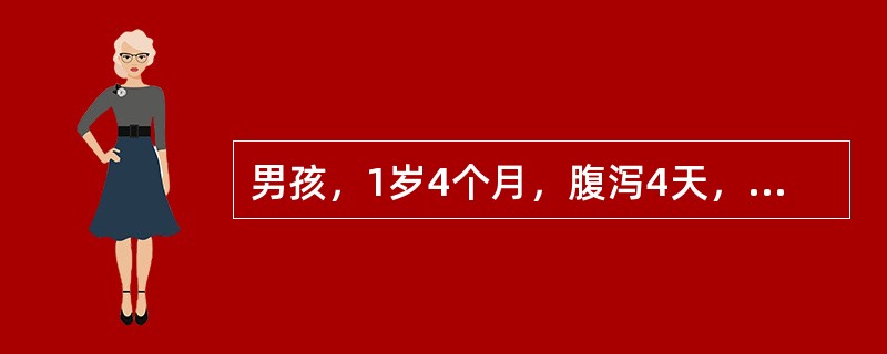 男孩，1岁4个月，腹泻4天，大便每日约15余次，大便呈蛋花汤样，无脓血。查体：前