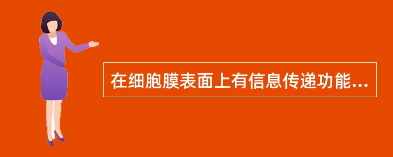 在细胞膜表面上有信息传递功能的是（）。