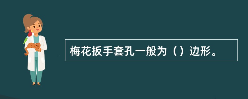 梅花扳手套孔一般为（）边形。