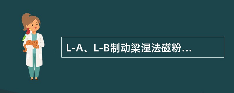 L-A、L-B制动梁湿法磁粉探伤检查部位有哪些？