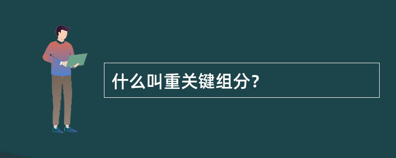 什么叫重关键组分？