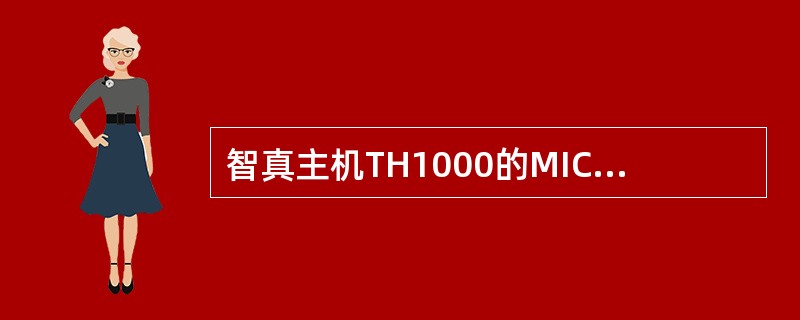 智真主机TH1000的MIC输入口共有（）个。