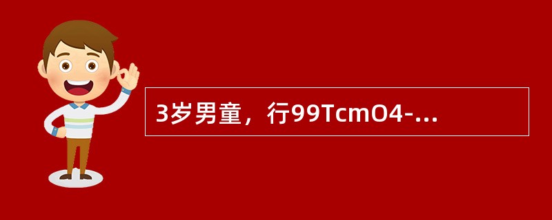 3岁男童，行99TcmO4-甲状腺静态显像如图，描述正确的是（）。