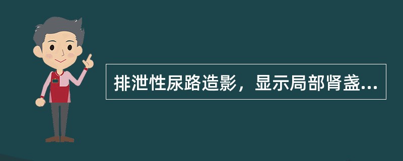 排泄性尿路造影，显示局部肾盏破坏，虫蚀状，可见外侧有一小团对比剂与之相连（）