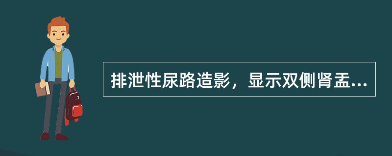 排泄性尿路造影，显示双侧肾盂肾盏受压，呈蜘蛛足样（）