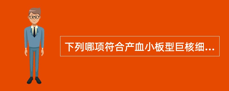 下列哪项符合产血小板型巨核细胞的核染色质特点()