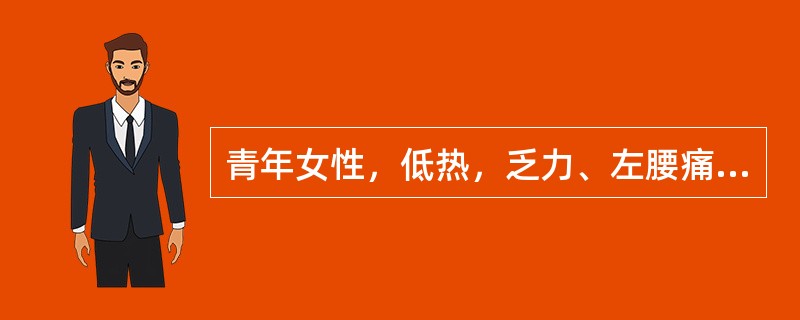 青年女性，低热，乏力、左腰痛3个月余。CT示左肾影增大，左肾上极密度不均，有斑点