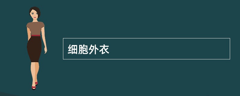 细胞外衣