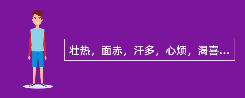 壮热，面赤，汗多，心烦，渴喜凉饮，舌质红，苔黄燥，脉洪大有力。方选（）