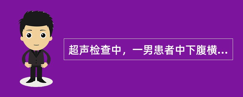 超声检查中，一男患者中下腹横切面如图，箭头所示器官为（）。