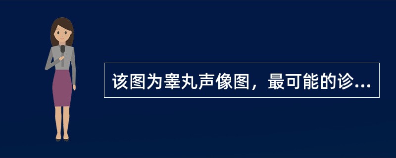 该图为睾丸声像图，最可能的诊断为（）。