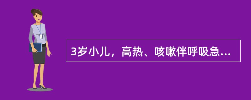 3岁小儿，高热、咳嗽伴呼吸急促1天入院。入院查体：T40℃，R64次/分，P16