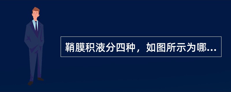 鞘膜积液分四种，如图所示为哪种（）。