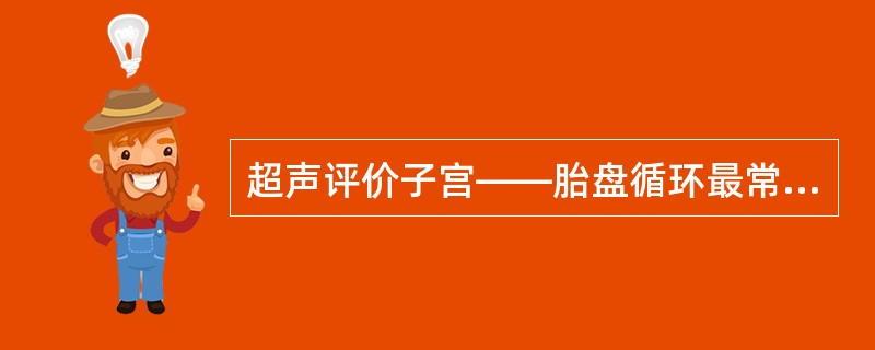 超声评价子宫——胎盘循环最常检测的血管是（）。