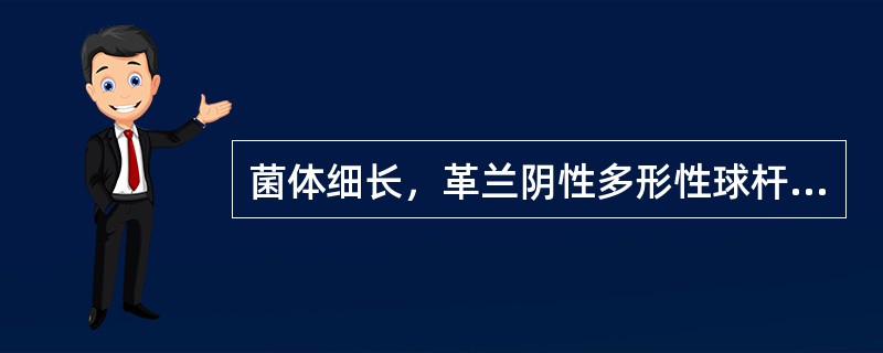菌体细长，革兰阴性多形性球杆菌，在血琼脂平板培养48h后形成1～2mm的菌落，中