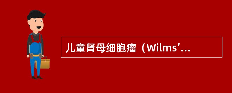 儿童肾母细胞瘤（Wilms’瘤）超声特点是（）。①瘤体较大，边界清晰②内回声不均