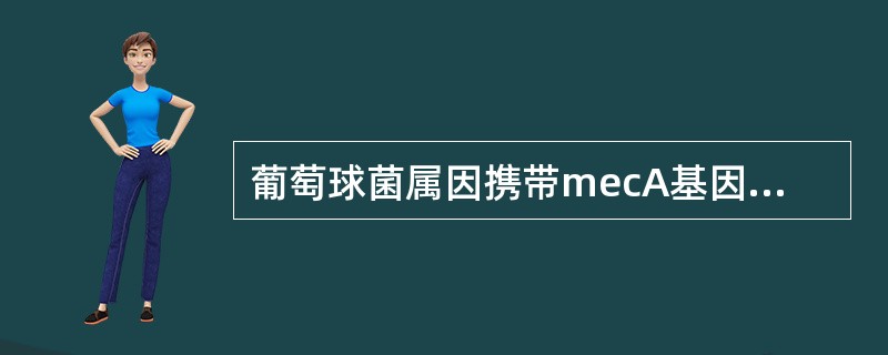 葡萄球菌属因携带mecA基因、产青霉素酶等机制而对β-内酰胺类抗生素耐药。关于检