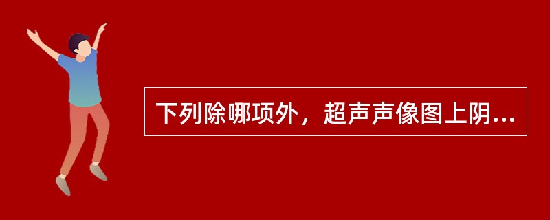 下列除哪项外，超声声像图上阴道内可见到无回声（）。