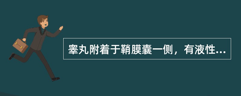 睾丸附着于鞘膜囊一侧，有液性暗区三面包绕于睾丸周围，此种积液称（）.