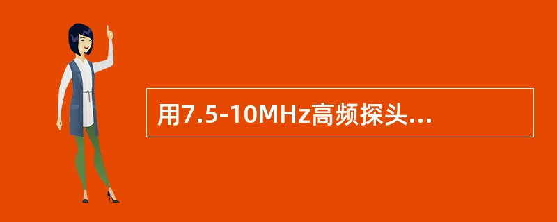 用7.5-10MHz高频探头，探测正常附睾，超声显示（）。