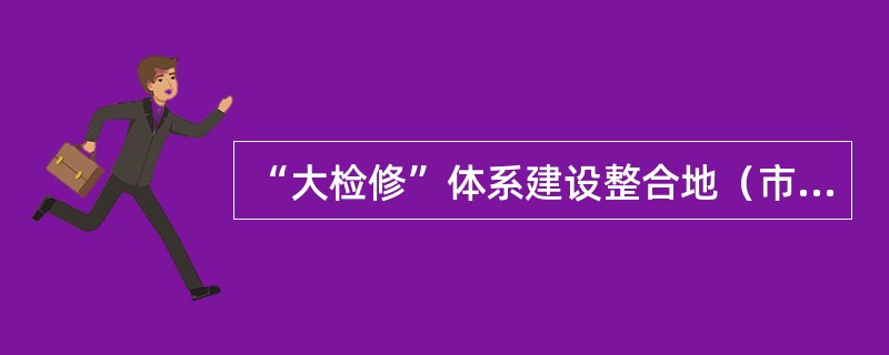 “大检修”体系建设整合地（市）公司变电设备技改大修和高压试验业务及相应的专业人员