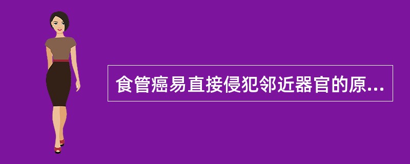 食管癌易直接侵犯邻近器官的原因是()