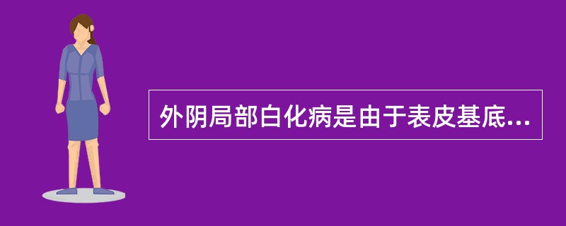 外阴局部白化病是由于表皮基底层中仅含有大而灰白的不成熟黑素细胞，因而不能制造黑素