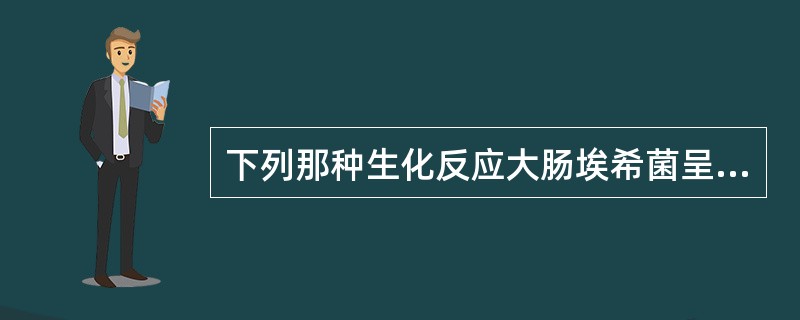 下列那种生化反应大肠埃希菌呈阳性？（）