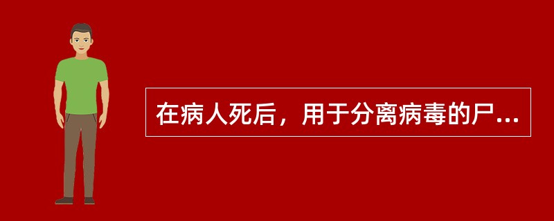 在病人死后，用于分离病毒的尸体标本的采集时限是（）