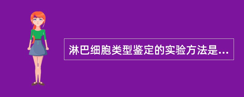 淋巴细胞类型鉴定的实验方法是（）