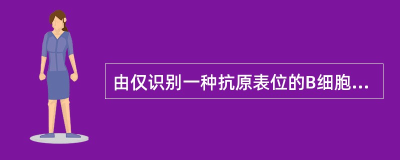 由仅识别一种抗原表位的B细胞克隆产生的抗体是（）