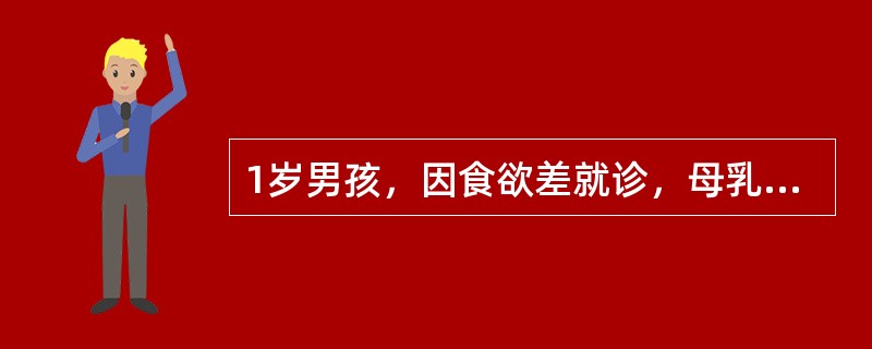1岁男孩，因食欲差就诊，母乳少，长期以米糊、稀饭喂养，未添加其他辅食，诊断为轻度